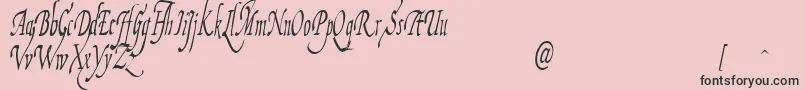 FiorenzaIi-Schriftart – Schwarze Schriften auf rosa Hintergrund