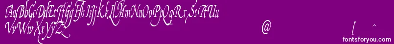 FiorenzaIi Font – White Fonts on Purple Background