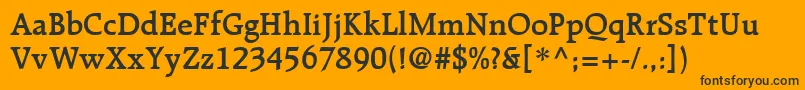 RecognitaBookSsiSemiBold Font – Black Fonts on Orange Background