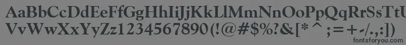 GoudyOldStyleExtraBoldBt Font – Black Fonts on Gray Background