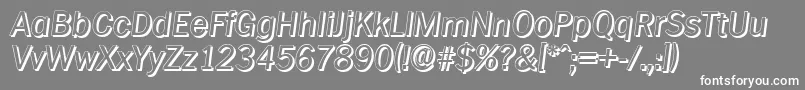 PlymouthshadowItalic Font – White Fonts on Gray Background