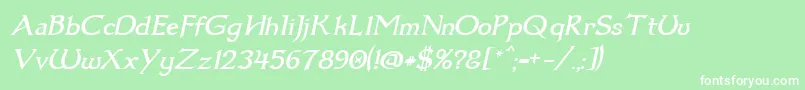 Dumbledor1Italic Font – White Fonts on Green Background