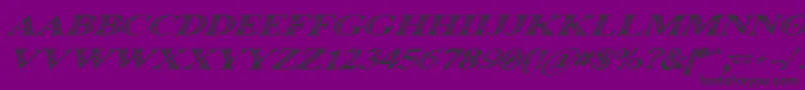 OccoluchiItalic-Schriftart – Schwarze Schriften auf violettem Hintergrund