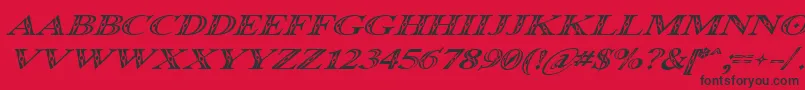 OccoluchiItalic Font – Black Fonts on Red Background