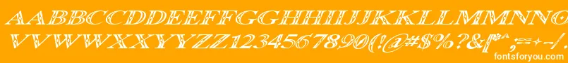 OccoluchiItalic Font – White Fonts on Orange Background
