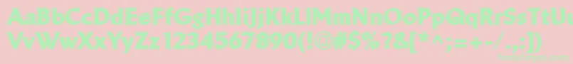 LinotypeBreweryBlack Font – Green Fonts on Pink Background