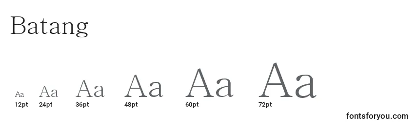 Batang Font Sizes