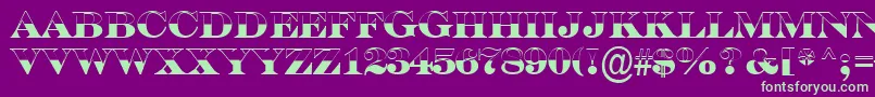 SerifertitulbwBold Font – Green Fonts on Purple Background