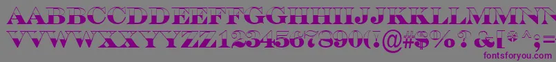 SerifertitulbwBold Font – Purple Fonts on Gray Background