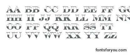 Review of the SerifertitulbwBold Font