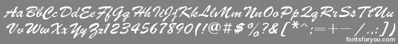 Ukrainianbrushscript Font – White Fonts on Gray Background