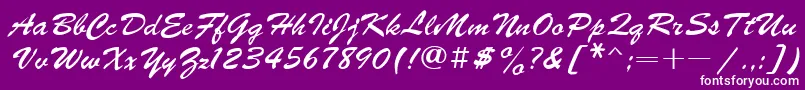 fuente Ukrainianbrushscript – Fuentes Blancas Sobre Fondo Morado