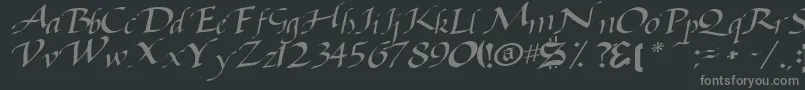 Baggagemastertext79RegularTtcon Font – Gray Fonts on Black Background