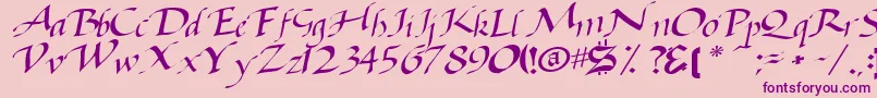 Baggagemastertext79RegularTtcon Font – Purple Fonts on Pink Background