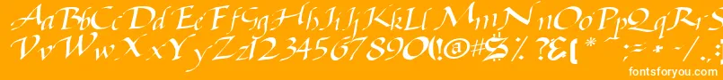 Baggagemastertext79RegularTtcon-Schriftart – Weiße Schriften auf orangefarbenem Hintergrund