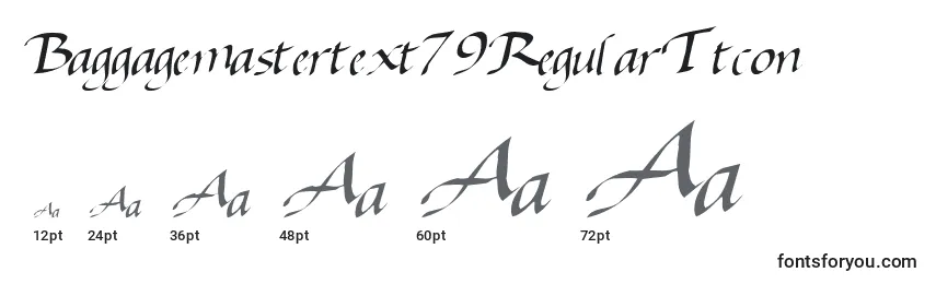 Размеры шрифта Baggagemastertext79RegularTtcon