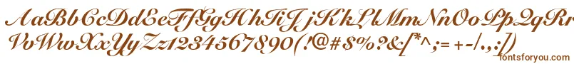 SnellblackdbBold Font – Brown Fonts on White Background