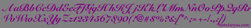SnellblackdbBold-fontti – violetit fontit harmaalla taustalla
