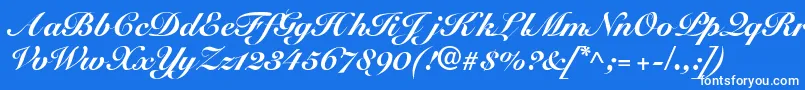 SnellblackdbBold Font – White Fonts on Blue Background