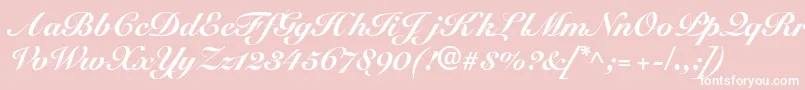 SnellblackdbBold Font – White Fonts on Pink Background