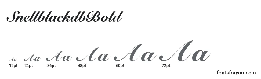 SnellblackdbBold Font Sizes