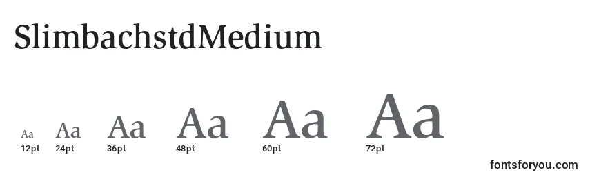 SlimbachstdMedium Font Sizes