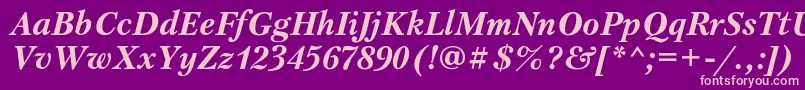 PetersburgcBolditalic Font – Pink Fonts on Purple Background