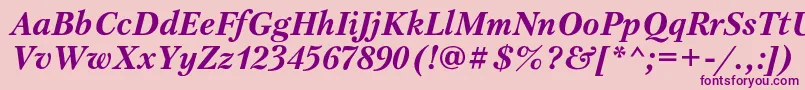 PetersburgcBolditalic Font – Purple Fonts on Pink Background