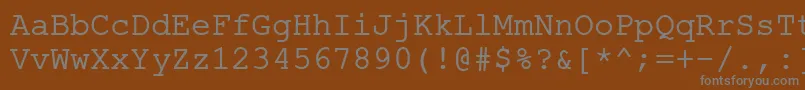 Шрифт ErKurier866 – серые шрифты на коричневом фоне
