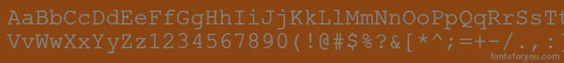 フォントErKurier866 – 茶色の背景に灰色の文字
