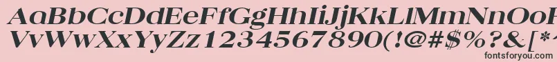 QuantasbroadextraboldItalic Font – Black Fonts on Pink Background