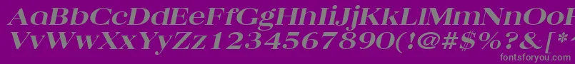 フォントQuantasbroadextraboldItalic – 紫の背景に灰色の文字