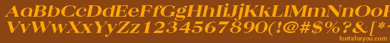 QuantasbroadextraboldItalic Font – Orange Fonts on Brown Background