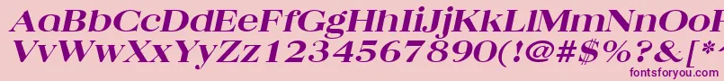 QuantasbroadextraboldItalic Font – Purple Fonts on Pink Background