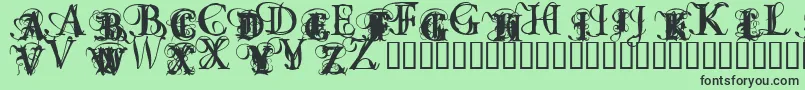 OmnipotenceBlack Font – Black Fonts on Green Background