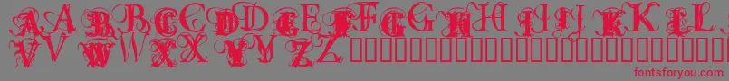 OmnipotenceBlack Font – Red Fonts on Gray Background