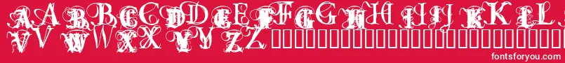OmnipotenceBlack Font – White Fonts on Red Background