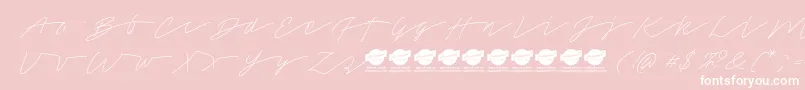 TamoroscriptPersonaluseonly Font – White Fonts on Pink Background