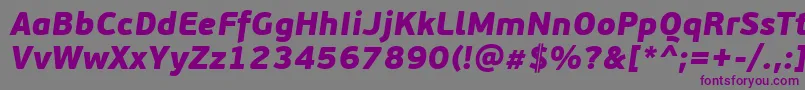 PfbeausansproBlackitalic Font – Purple Fonts on Gray Background