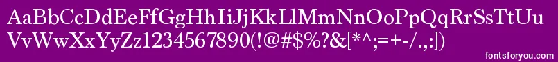 MarionRegular Font – White Fonts on Purple Background
