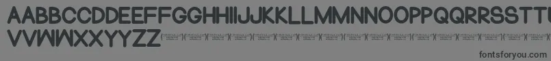 NormalsometimesRegular Font – Black Fonts on Gray Background