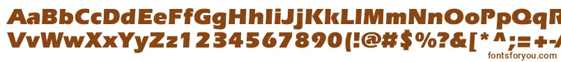 Шрифт EverestcBold – коричневые шрифты на белом фоне