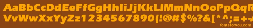 EverestcBold-Schriftart – Orangefarbene Schriften auf braunem Hintergrund
