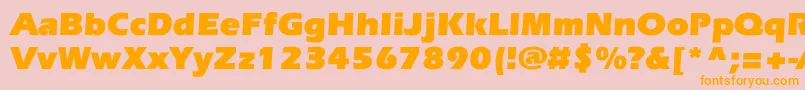 EverestcBold-Schriftart – Orangefarbene Schriften auf rosa Hintergrund