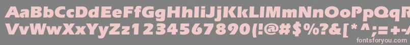 EverestcBold Font – Pink Fonts on Gray Background