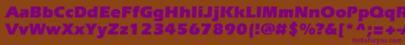 Weitere Informationen zur EverestcBold-Schriftart EverestcBold-Schriftart – Violette Schriften auf braunem Hintergrund
