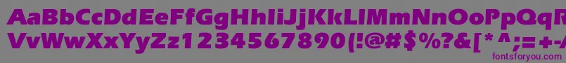 En savoir plus sur la police EverestcBold Police EverestcBold – polices violettes sur fond gris