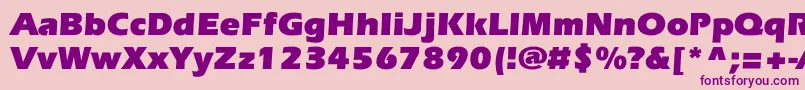 EverestcBold Font – Purple Fonts on Pink Background