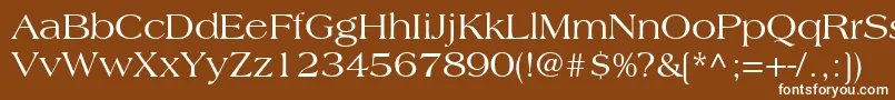 CountrysideSsi Font – White Fonts on Brown Background