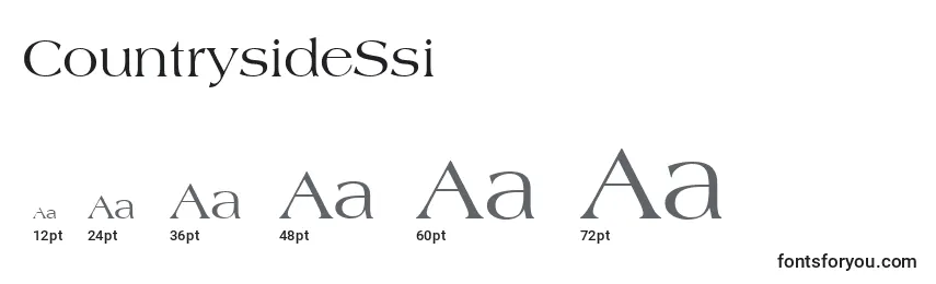 CountrysideSsi Font Sizes